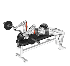 EZ-Barbell Liying Triceps Estensjoni demonstration