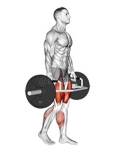 Kiyyoo Bar Qoqqoodinsa Ejjennoo RDL demonstration