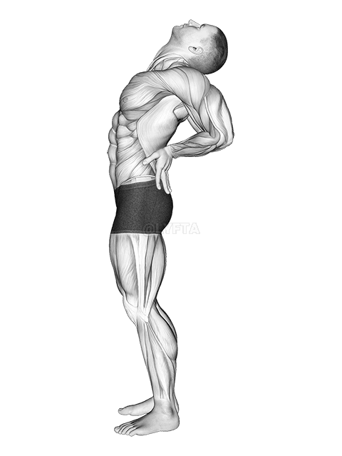 Posição estática em pé demonstration