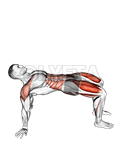 Reverse Plank mei Leg Lift demonstration