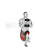 Dumbbell Gobelt Curtsey Lunge demonstration