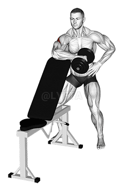 Dumbbell Bench Supported External Rotation demonstration