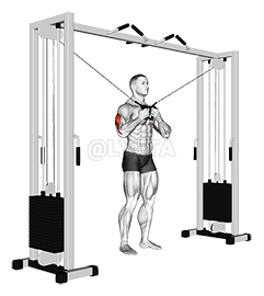 Ka Tsitre Kɔkɔ Atitsoga Triceps Kekeɖenudɔwɔwɔ demonstration