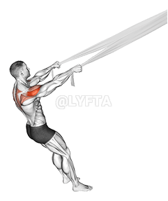 Hátsó Delt Fly lepedővel demonstration