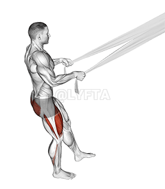 Assisted Pistol Squat mei Bed Sheet demonstration