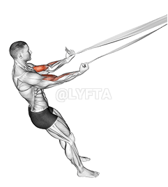 Biceps Curl with Bed Sheet demonstration