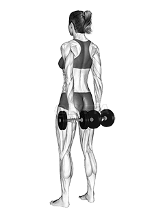 Curvatura do dedo com halteres atrás das costas demonstration