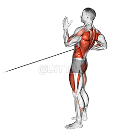 सिंगल आर्म रो के साथ बैंड स्क्वाट demonstration