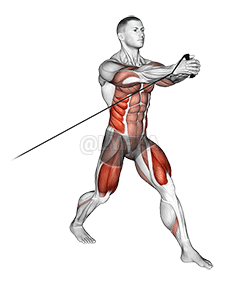 Thumbnail for the video of exercise: Band Split Squat with Horizontal Pallof Hold