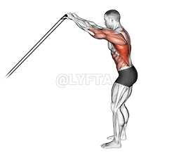 Thumbnail for the video of exercise: बैंड स्कीयर के नाम से जानल जाला