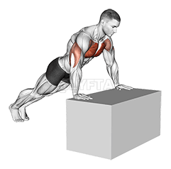 Tsatani Push-Up demonstration