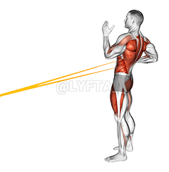 Resistentia Band RECUMBO cum uno brachio Row demonstration