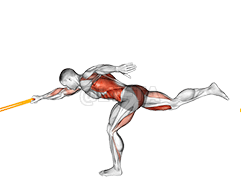 Resistentia Band Single Stiff Leg Deadlift cum Single Arm Row demonstration