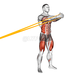 Thumbnail for the video of exercise: Ellenállási szalag guggolás vízszintes Pallof tartással