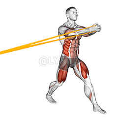 Thumbnail for the video of exercise: Ellenállási szalag osztott guggolás vízszintes Pallof tartással