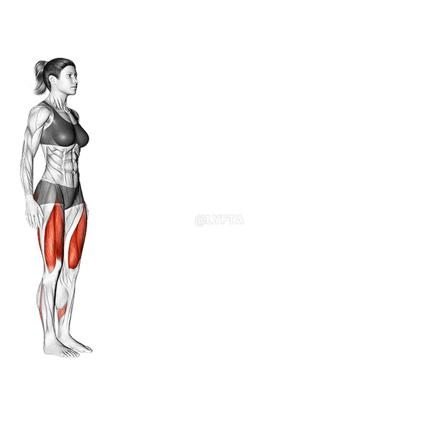 Walking Lunge demonstration