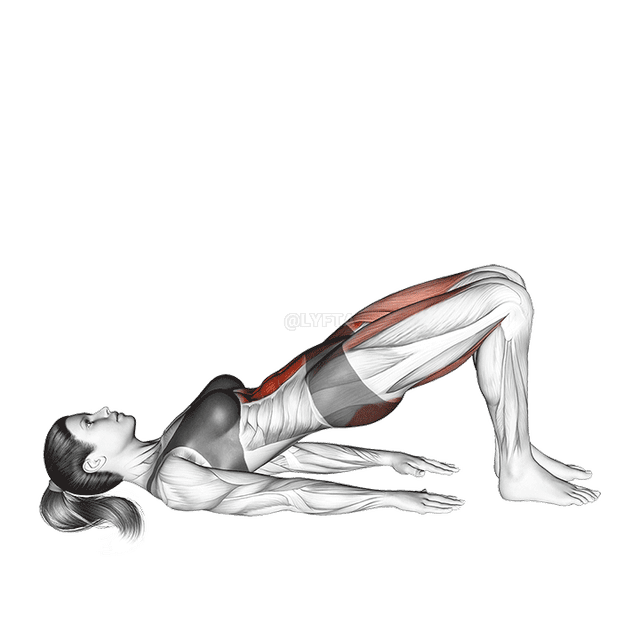 Marcha del puente de glúteos demonstration