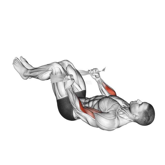 Deitado com Pernas Duplas Martelo Curl com Toalha demonstration