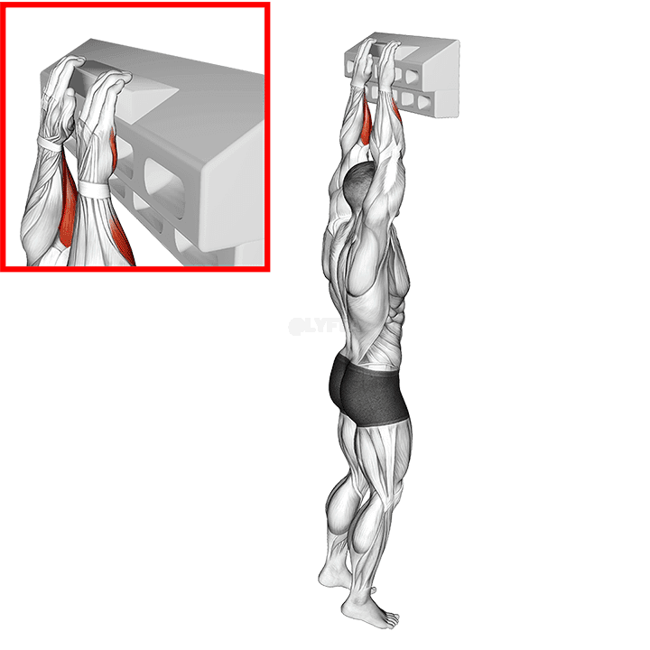 Thumbnail for the video of exercise: Handboard Open Hand Grip