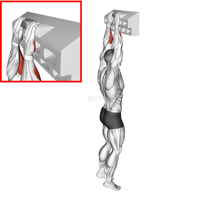 Handboard Ʋu Asiléƒe demonstration