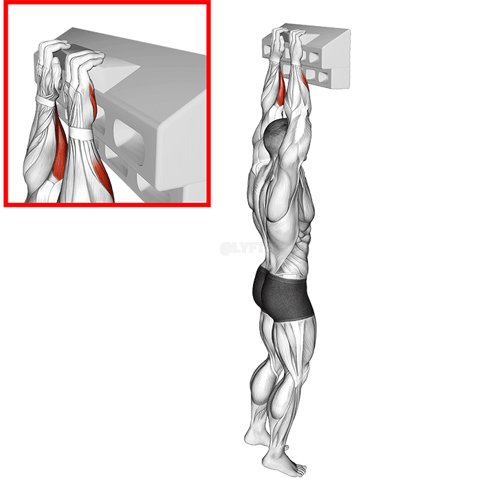 Thumbnail for the video of exercise: Handboard Half Crimp