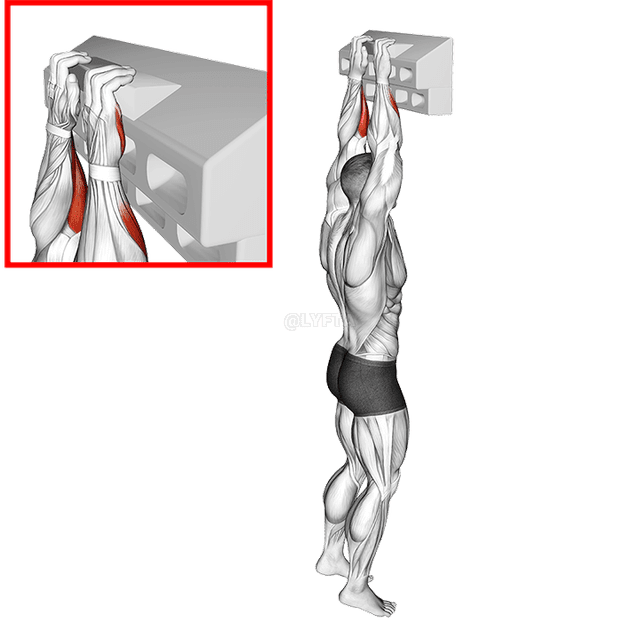 Handboard Afã Crimp demonstration
