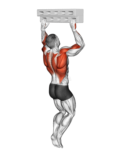 Подвешивание на ручке с локтем под углом 90 градусов demonstration