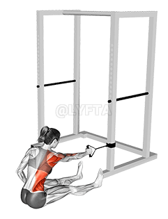 Band One Arm Twisting Seated Row demonstration