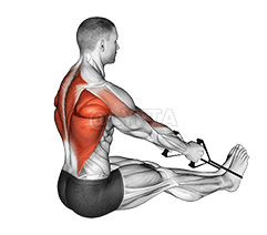 Fascia dritta nella fila seduta dietro demonstration