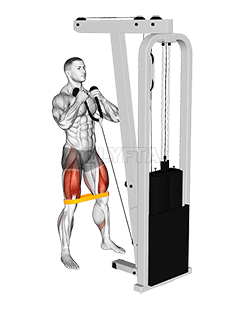 Squat de câble avec bande de résistance demonstration