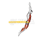 Resistance Band Long Jump demonstration