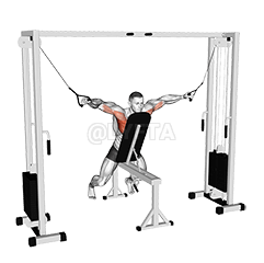 Thumbnail for the video of exercise: Cable Fly with Chest Supported