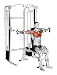 Cable Pec Fly, Exercise Videos & Guides
