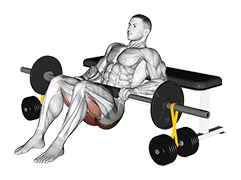 Barbell Hip Thrust with Resistance Band demonstration