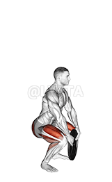 Thumbnail for the video of exercise: Weighted Squat Jump with Plate