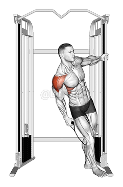 ケーブルリーニング横レイズ demonstration