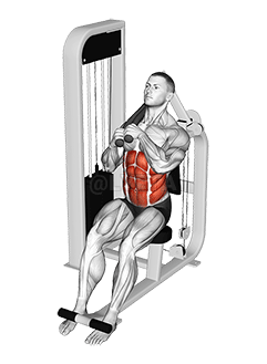 Crunch côté gauche assis avec levier demonstration