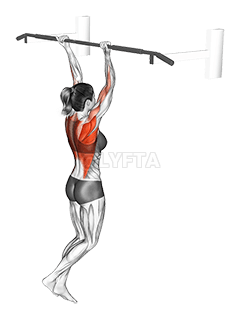 Peruutuskahva Vedä ylös demonstration