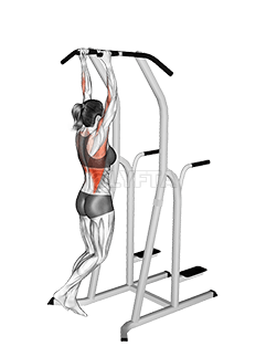 Подтягивания на брусьях молотковым хватом demonstration