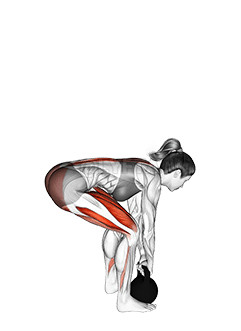 Deadlift Kettlebell demonstration