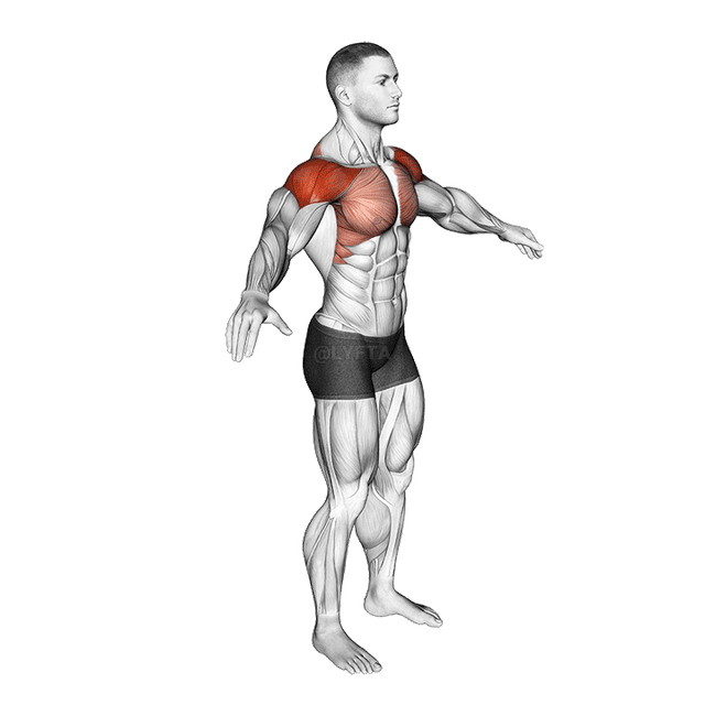 Arm Circles demonstration