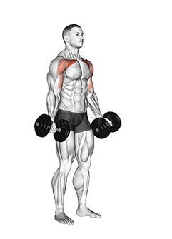 Haltere Baixo Fly demonstration