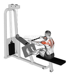 Thumbnail for the video of exercise: Cable Rear Delt Row