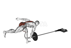 لينڊ مائن سنگل ٽنگ لينڊ مائن آر ڊي ايل demonstration