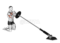 Kniende Landmine-Squeeze-Presse demonstration