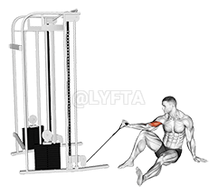 Cable Seated Floor One Arm Concentration Curl demonstration