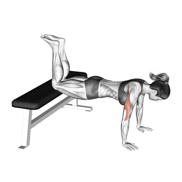 Recusar flexão demonstration