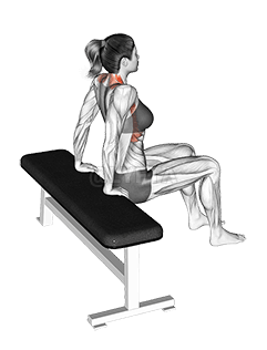 Scapula Dips demonstration