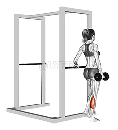 Haltères Makolo Moko Ngombe Raise demonstration