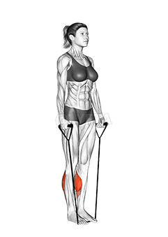 Baandii Miila Lama Re'ee Kaasuu - . demonstration